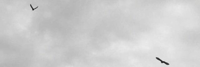 Shog_ak's profile banner image