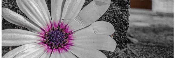 coogi_15 Profile Banner