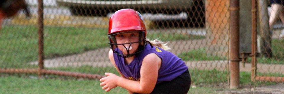 USA Softball Florida banner