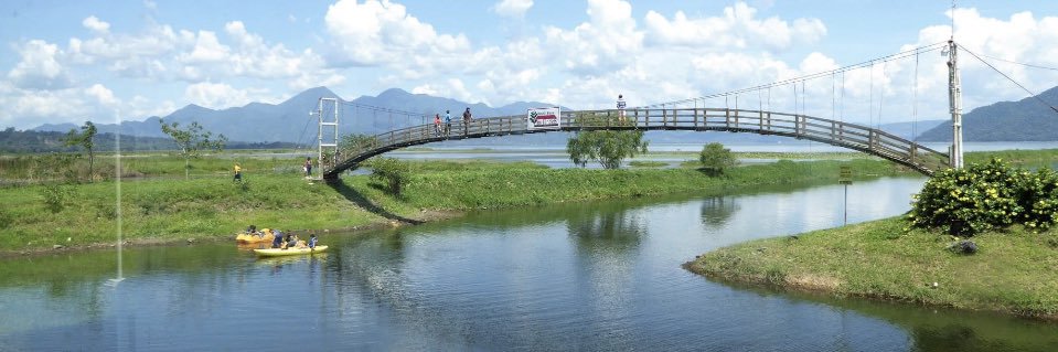 Paula S. Hill banner