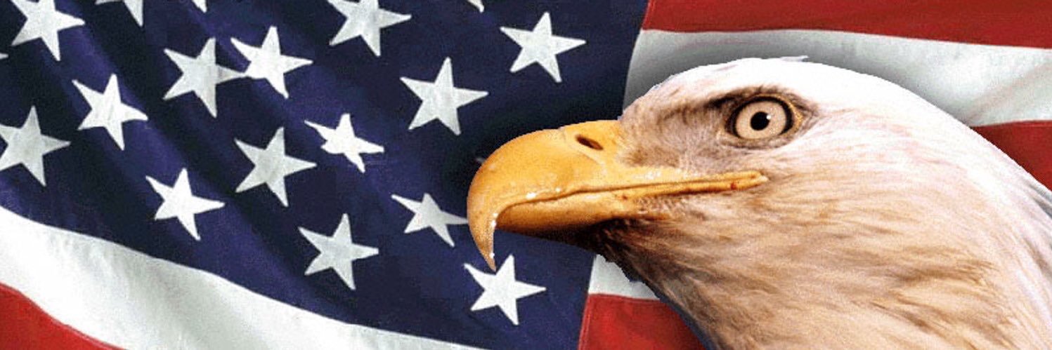 callymavs's profile banner image