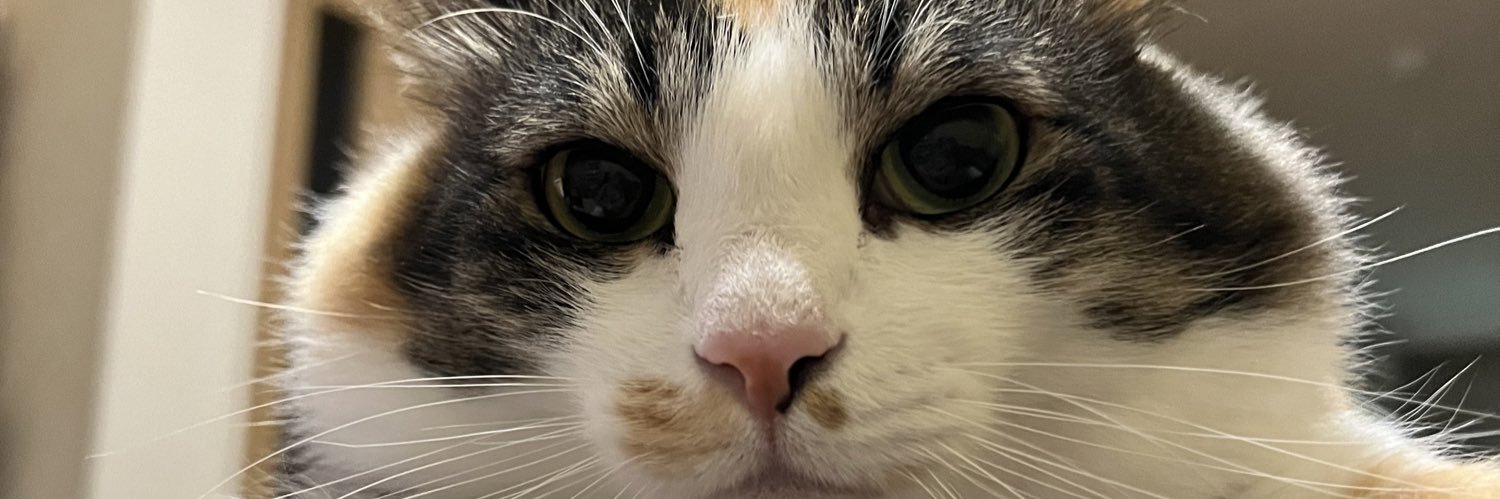 Takahiro Omori ♋ banner