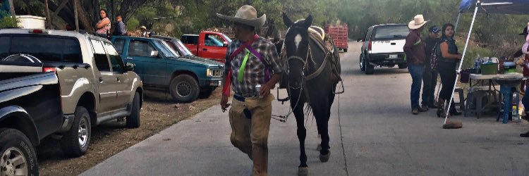 Damaris Reyes 🌺 banner