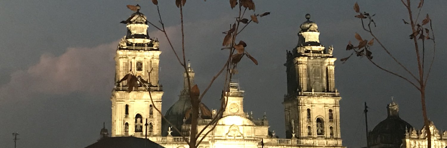 botikua's profile banner image