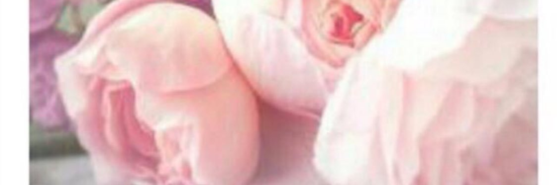 brsteeg55's profile banner image