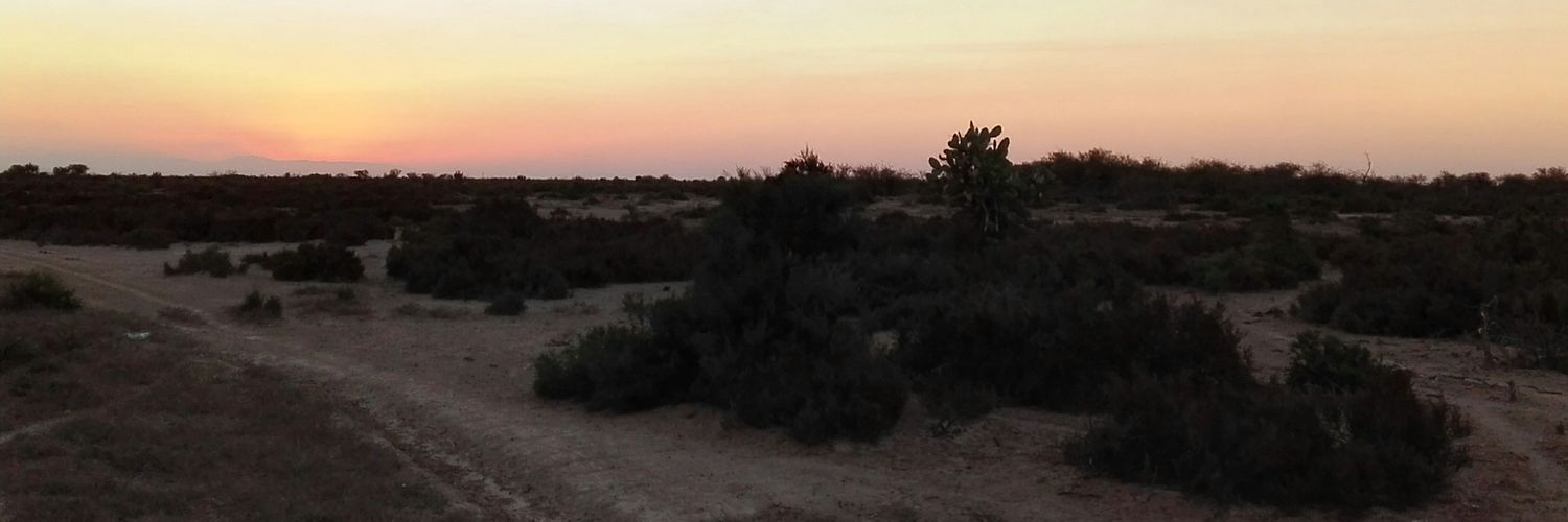 Leonel_elp's profile banner image