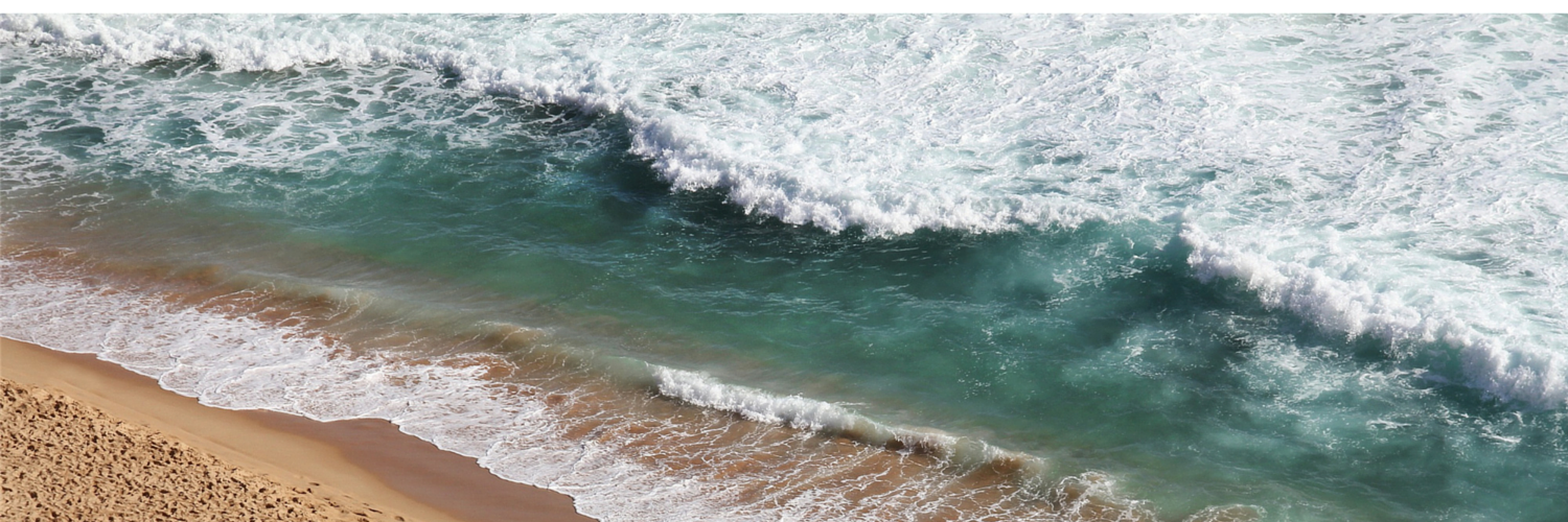 Lenora Smith banner