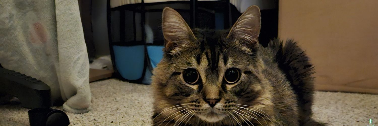 MagicBananazzz's profile banner image