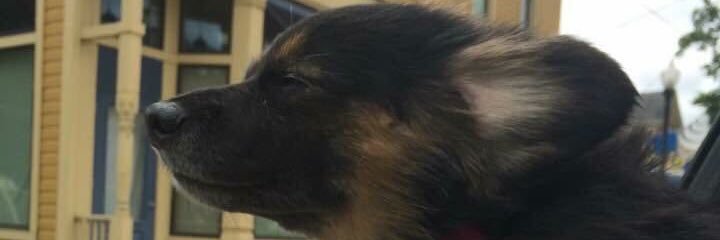 Flintok09's profile banner image