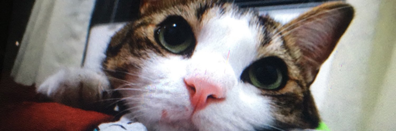 juuliesd's profile banner image