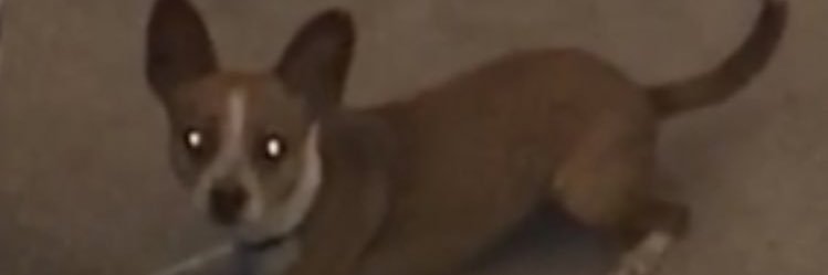RyanConnors_'s profile banner image