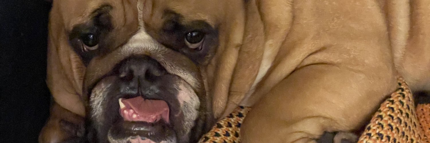 clarapeiter's profile banner image
