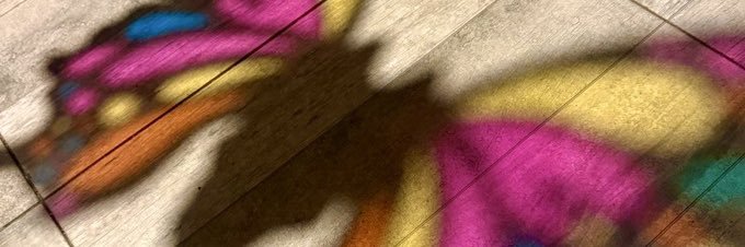 guillegonella's profile banner image
