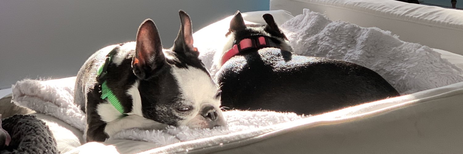 Jens Andersen banner