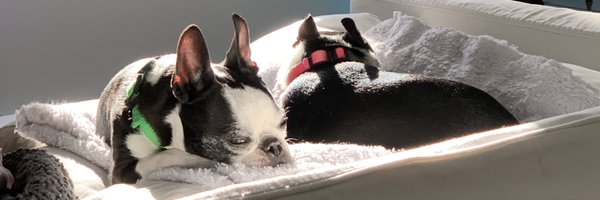 Spytle Profile Banner