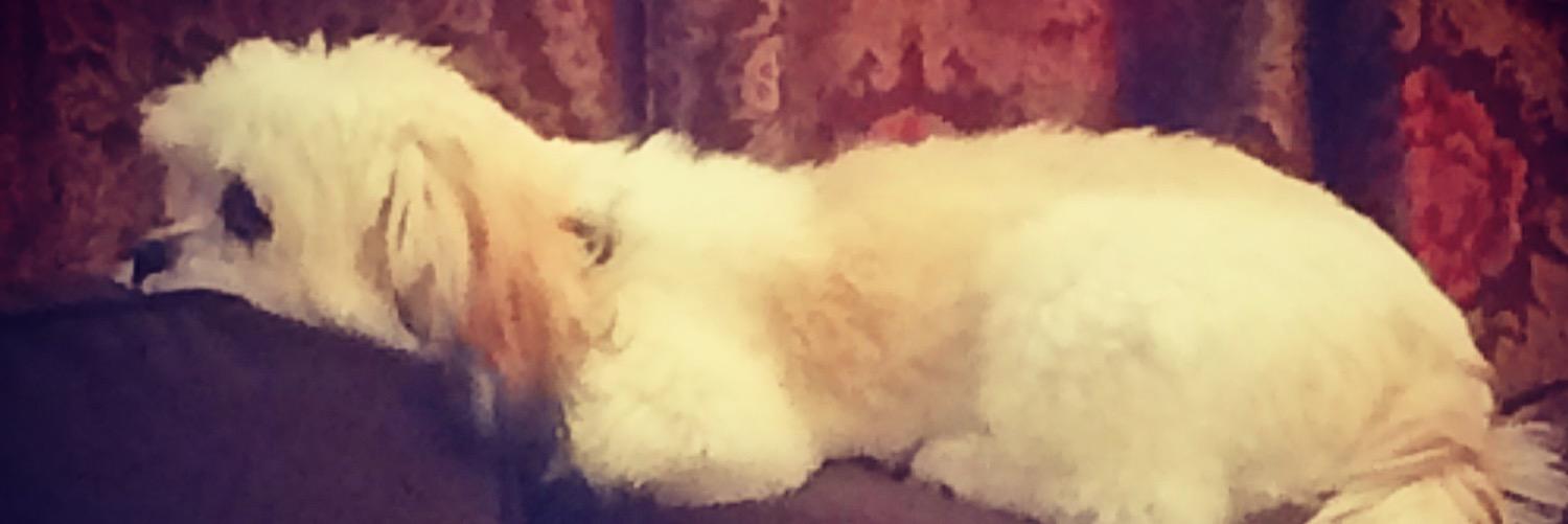 mharrisonlaw73's profile banner image