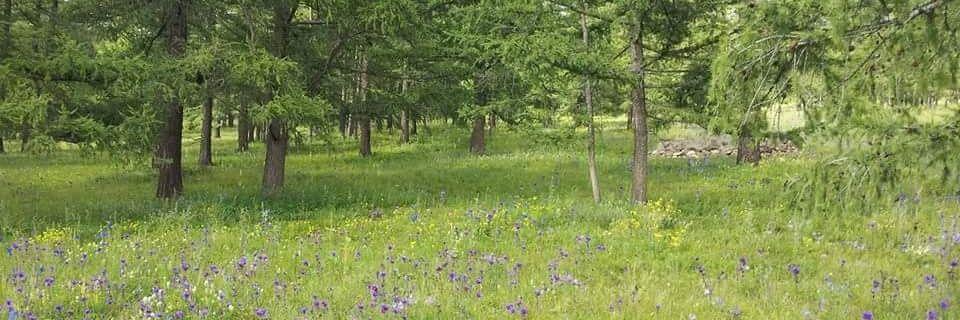 erdene5162's profile banner image