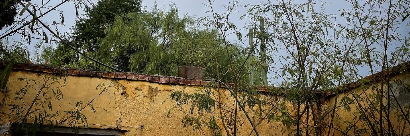 Saúl Macías Morales banner