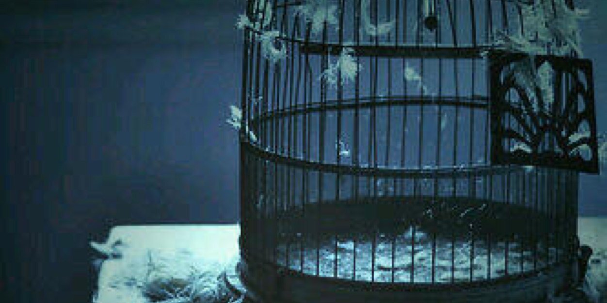 Roo7i t7bak' banner
