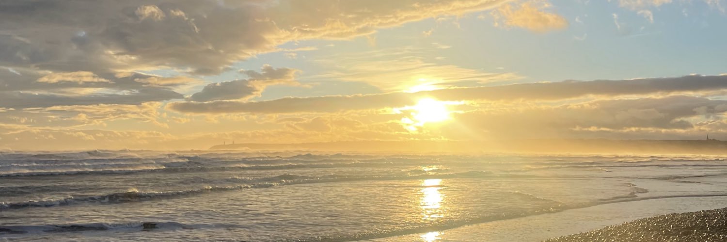 Mickey Merrigan banner