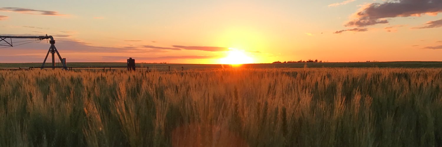 Andrew_Scherrer's profile banner image