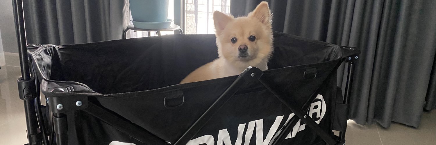fluffy_ntnt's profile banner image