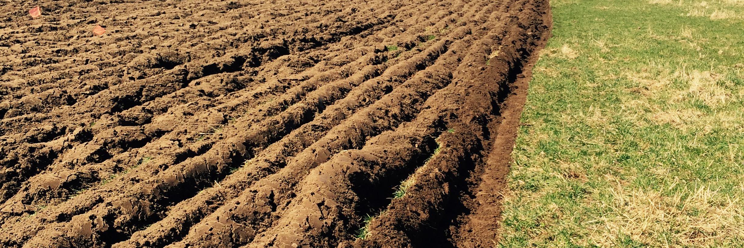 flxfarms's profile banner image