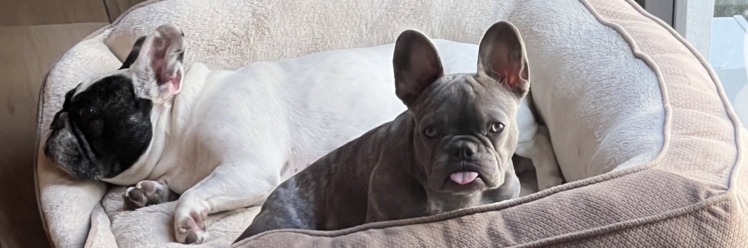 Jacobo Prieto banner