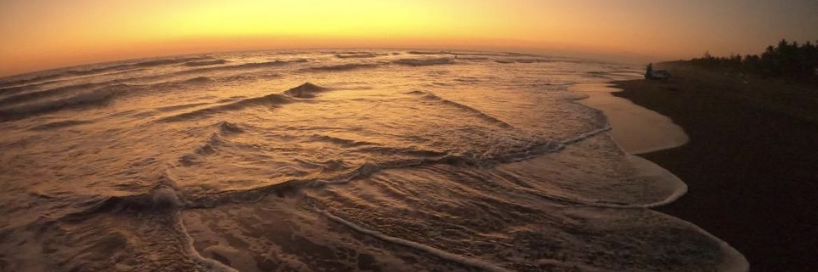 Sara Hanna Georges banner