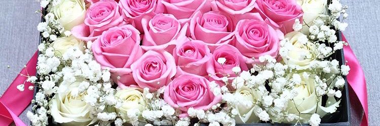 MellaPrisilla's profile banner image