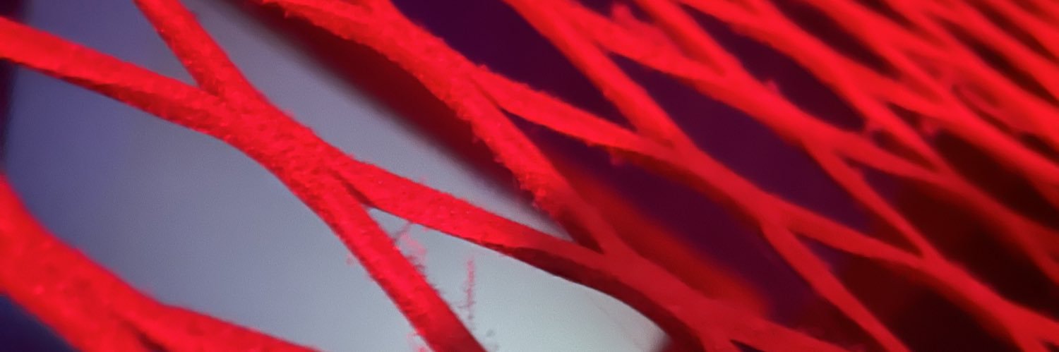 FlowerHelmut's profile banner image