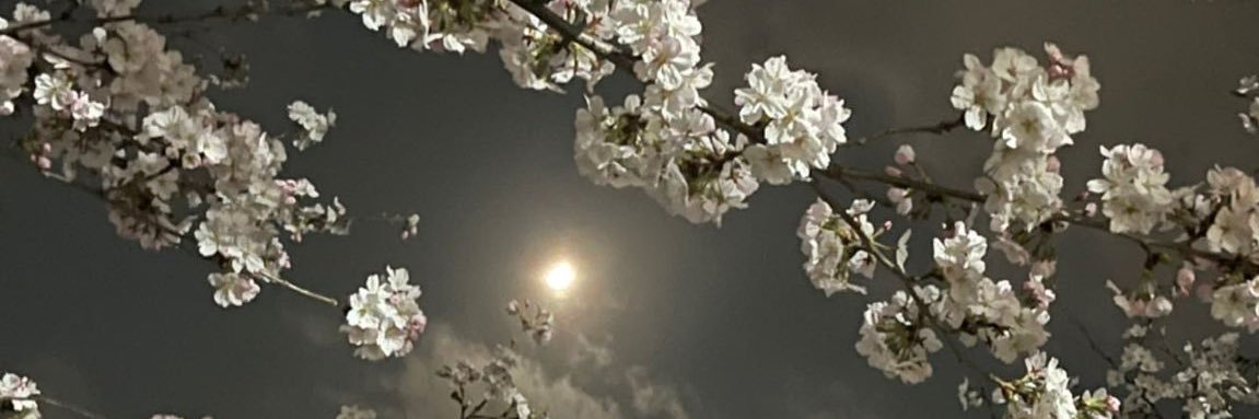 Eunvyn's profile banner image