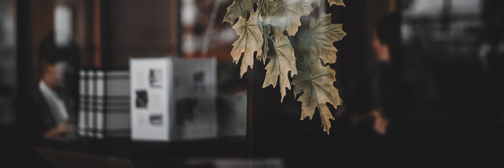 coklatree's profile banner image