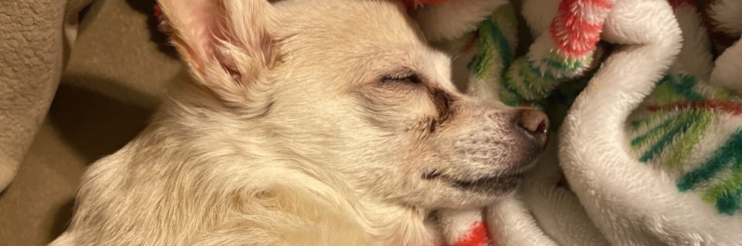 MeeniMandi's profile banner image