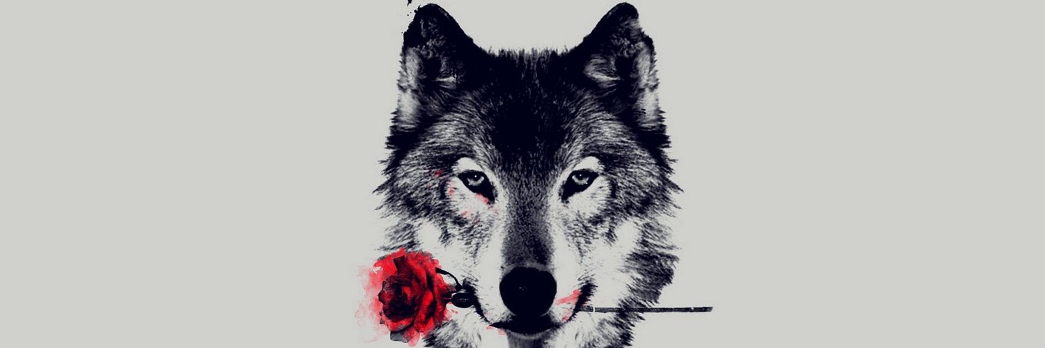 falan_akbar's profile banner image
