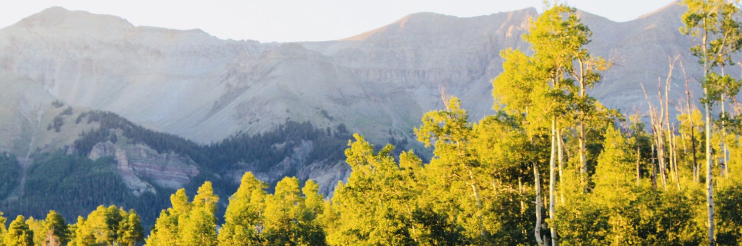 Amy Faustinos banner