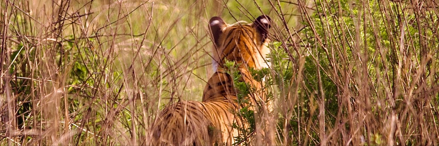 sandyprabhakar_'s profile banner image