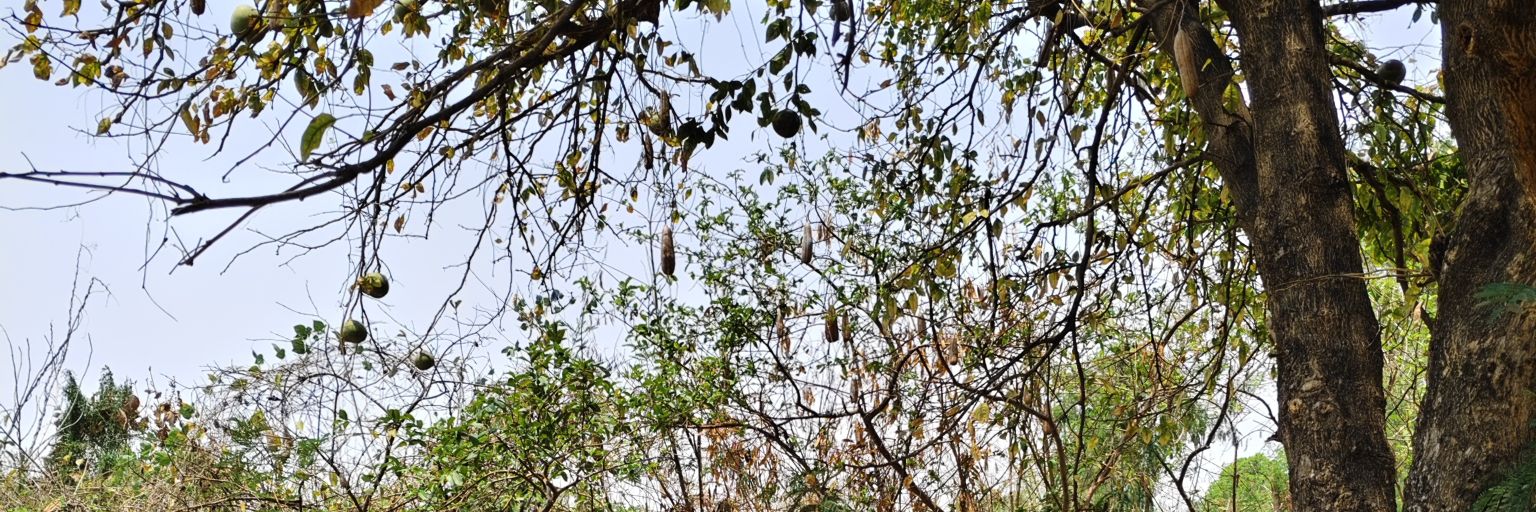 jontykun's profile banner image