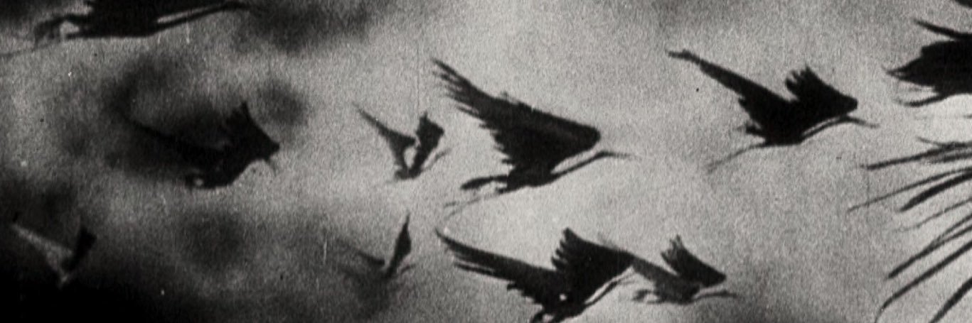 FRMelancholy's profile banner image