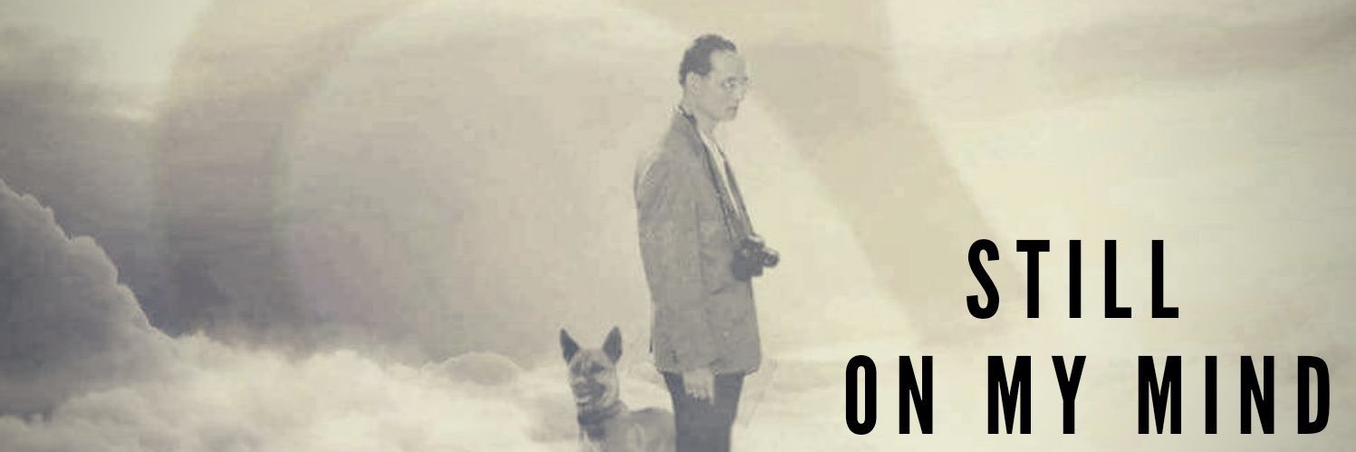 LeawCC's profile banner image