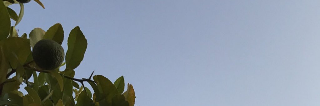 etha_7's profile banner image