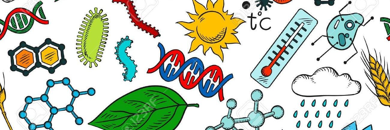 bioalexa's profile banner image