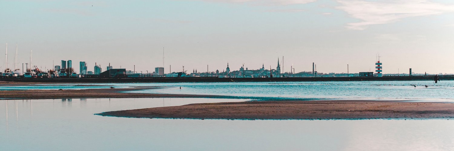 LiisiOrg's profile banner image