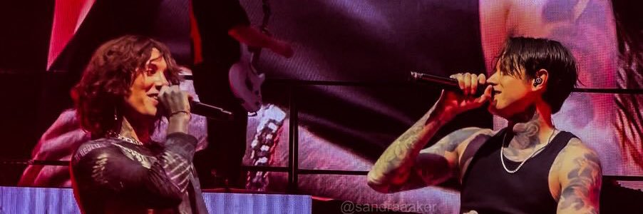 ☆彡*:.｡. banner