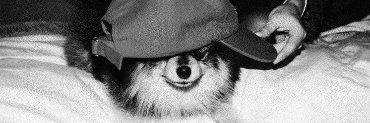 thvgre's profile banner image