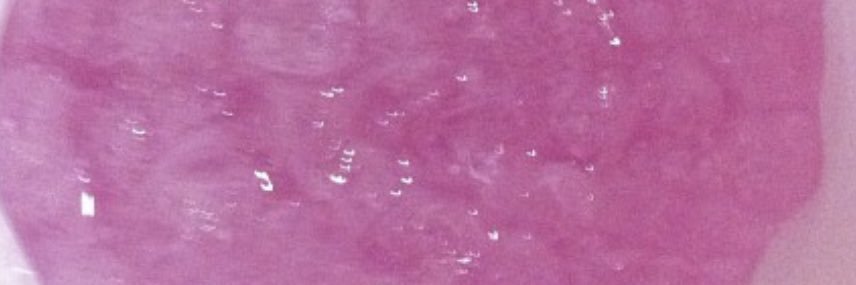 FspFumi's profile banner image