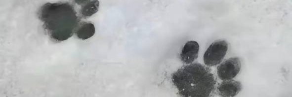 kachuta28's profile banner image