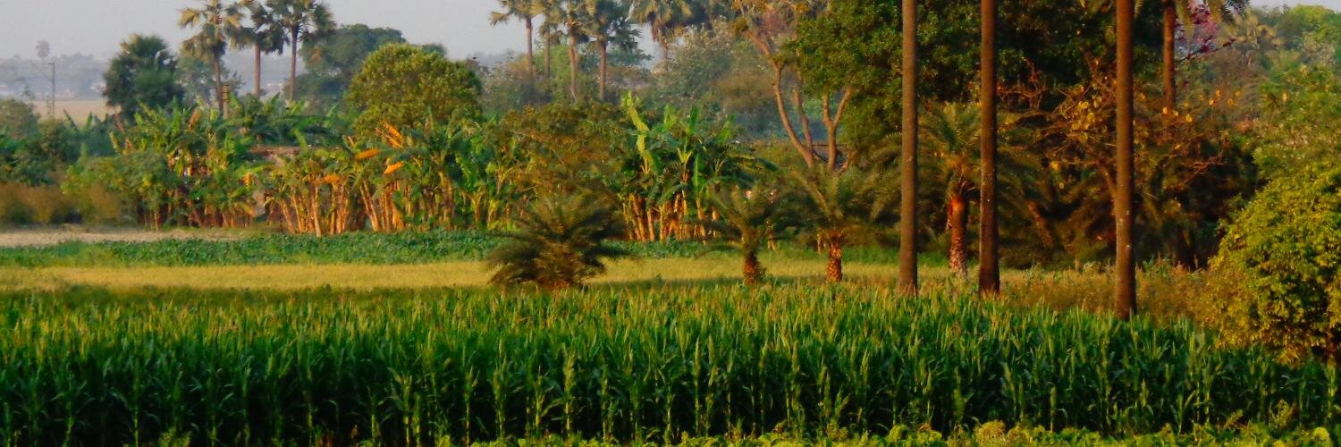 Manish_Jha's profile banner image
