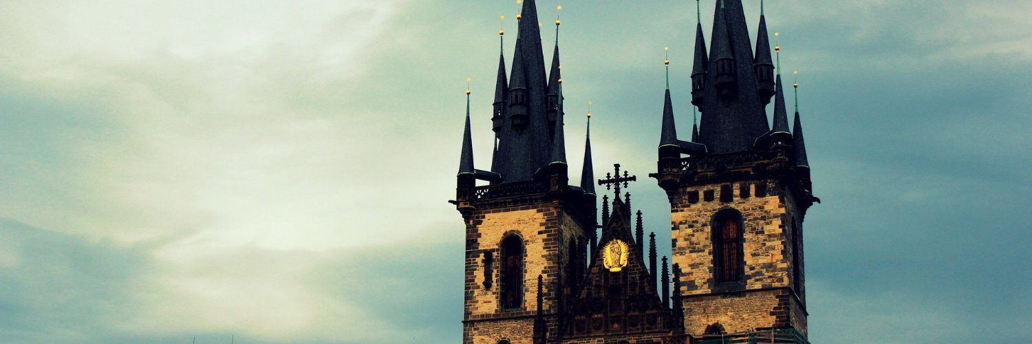 SchmidtElise's profile banner image