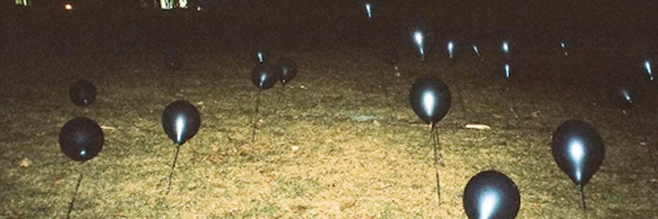 disdein's profile banner image